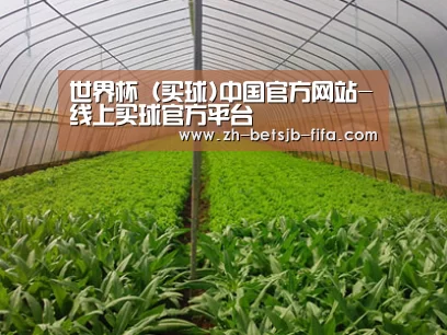 种植基地四