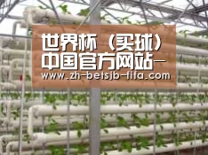 环境展示六