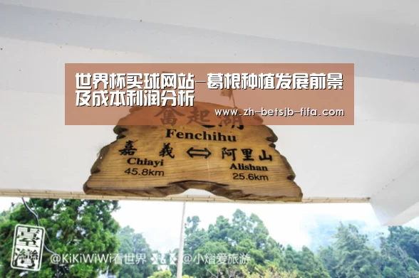 世界杯买球网站-葛根种植发展前景及成本利润分析(图4) 世界杯买球网站