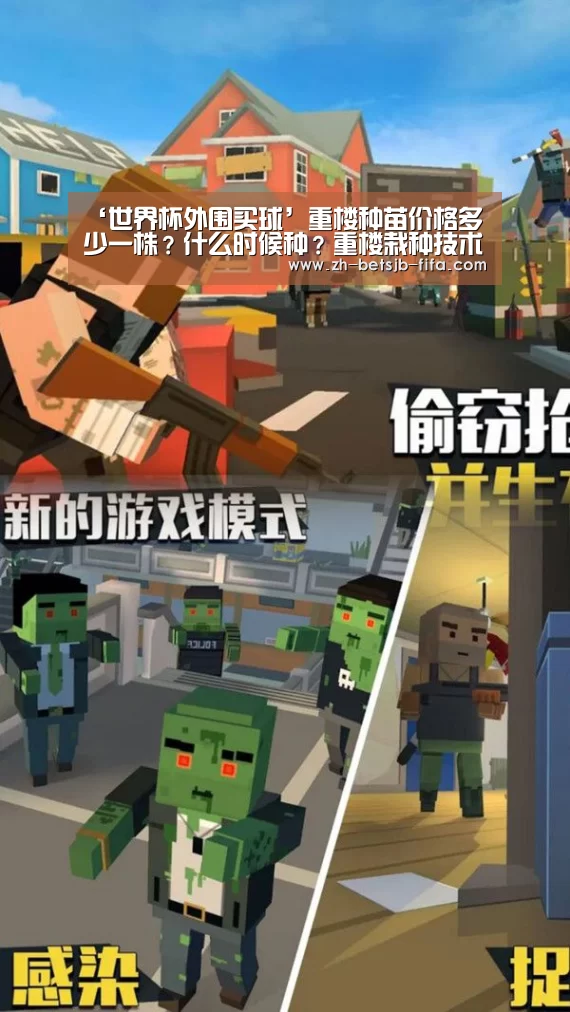 ‘世界杯外围买球’重楼种苗价格多少一株?什么时候种?重楼栽种技术(图1) 世界杯买球网站