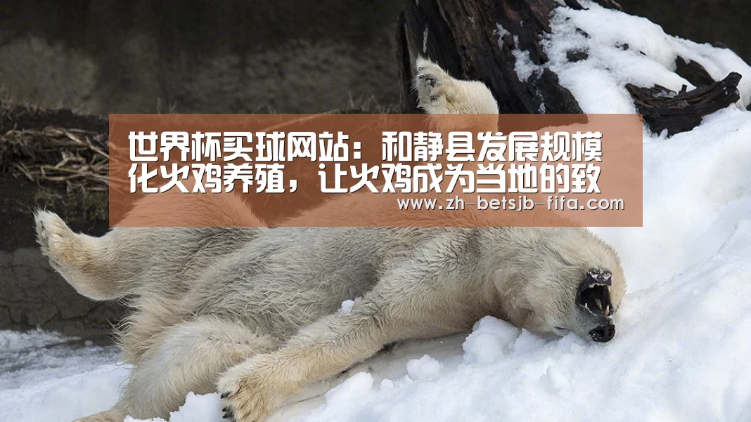 世界杯买球网站:和静县发展规模化火鸡养殖,让火鸡成为当地的致富项目!(图1) 世界杯外围买球