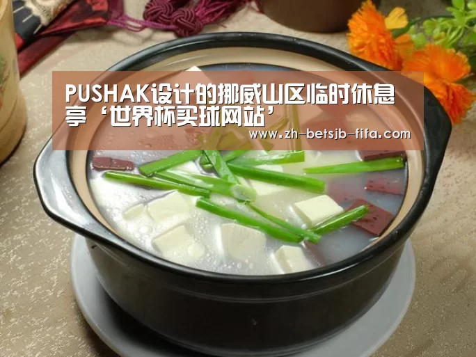 PUSHAK设计的挪威山区临时休息亭‘世界杯买球网站’(图1) 世界杯买球网站