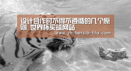 设计合作时不得不遵循的几个原则_世界杯买球网站(图1) 世界杯买球网站