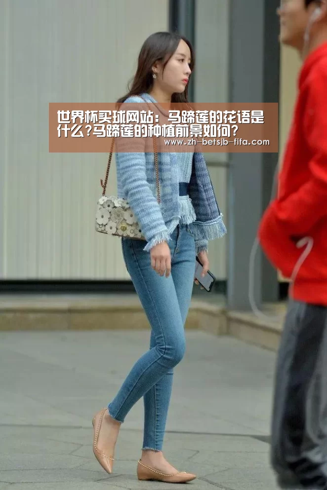 世界杯买球网站:马蹄莲的花语是什么?马蹄莲的种植前景如何?(图1) 世界杯投注