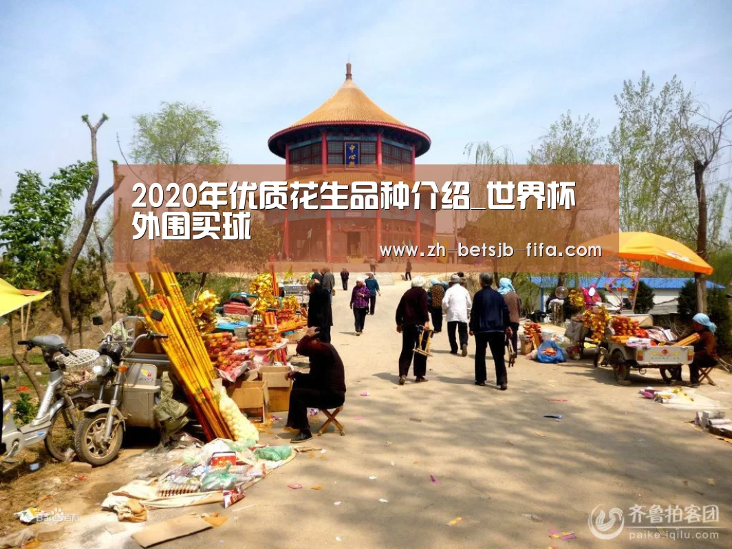 2020年优质花生品种介绍_世界杯外围买球(图3) 世界杯外围买球