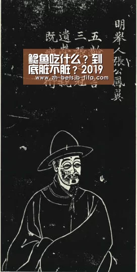 鲶鱼吃什么?到底脏不脏?2019鲶鱼市场最新价格参考|世界杯买球网站(图3) 世界杯买球网站