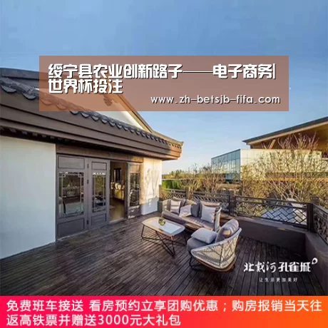 绥宁县农业创新路子——电子商务|世界杯投注(图2) 世界杯买球网站