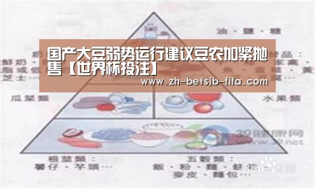 国产大豆弱势运行建议豆农加紧抛售【世界杯投注】(图2) 世界杯投注