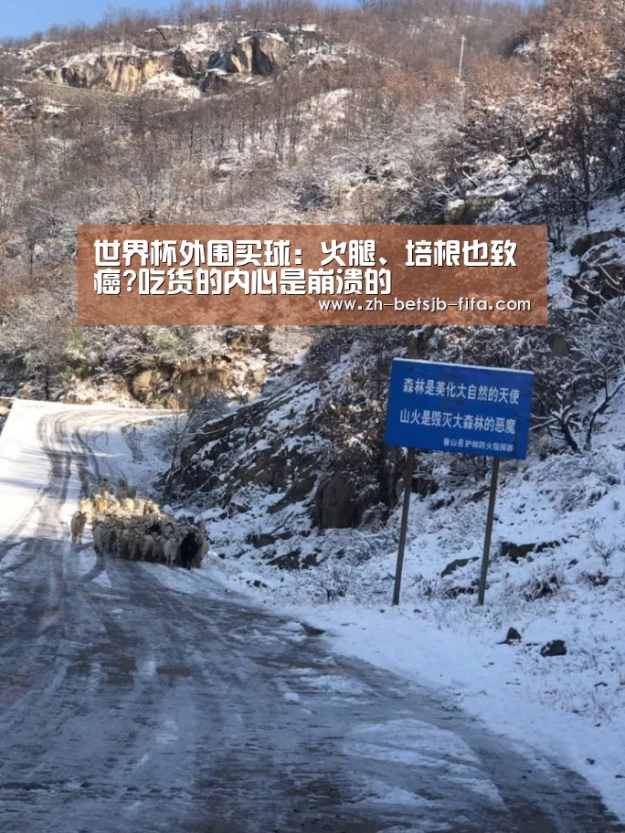 世界杯外围买球:火腿、培根也致癌?吃货的内心是崩溃的(图1) 世界杯投注