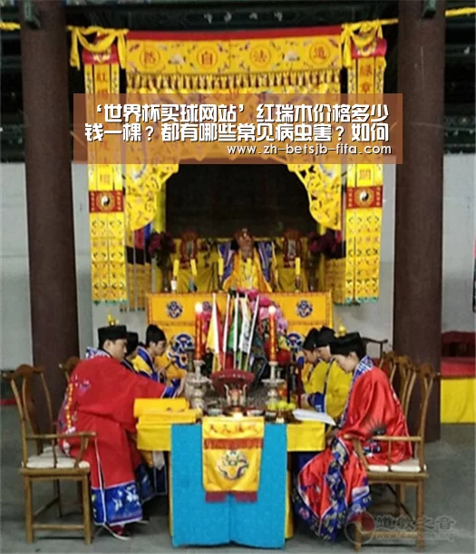 ‘世界杯买球网站’红瑞木价格多少钱一棵?都有哪些常见病虫害?如何防治?(图1) 世界杯外围买球
