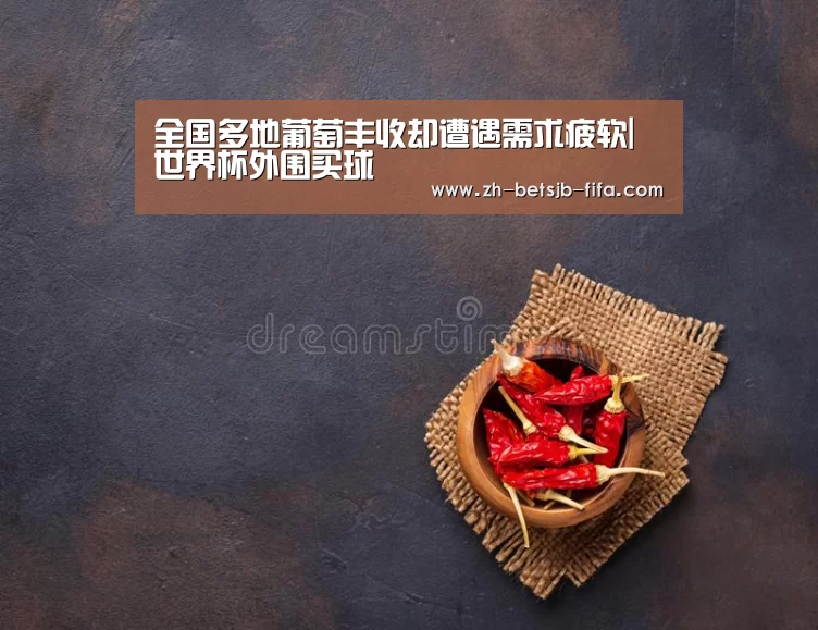 全国多地葡萄丰收却遭遇需求疲软|世界杯外围买球(图1) 世界杯投注