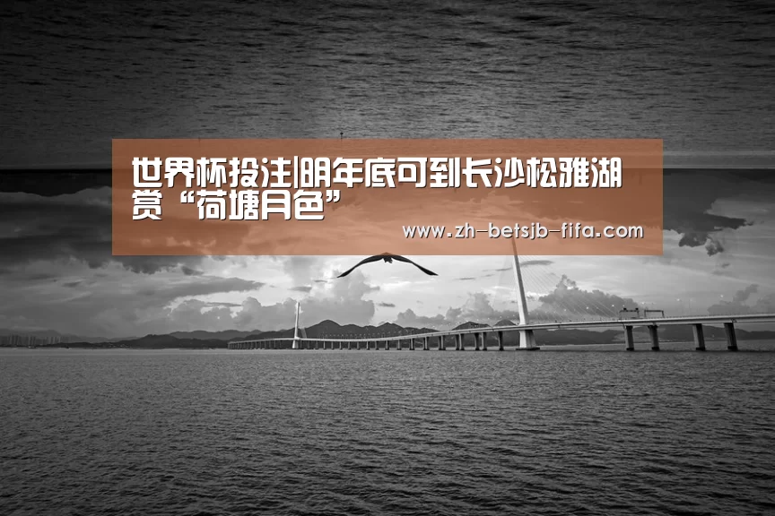 世界杯投注|明年底可到长沙松雅湖赏“荷塘月色”(图1) 世界杯外围买球