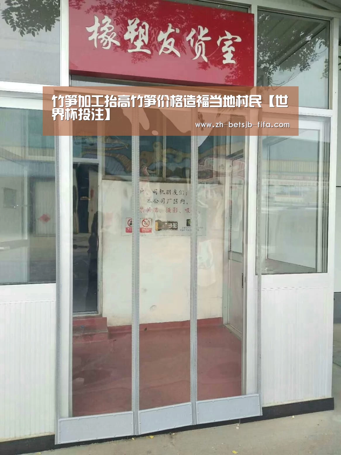 竹笋加工抬高竹笋价格造福当地村民【世界杯投注】(图2) 世界杯买球网站