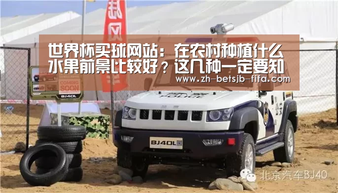 世界杯买球网站:在农村种植什么水果前景比较好?这几种一定要知道!(图4) 世界杯外围买球