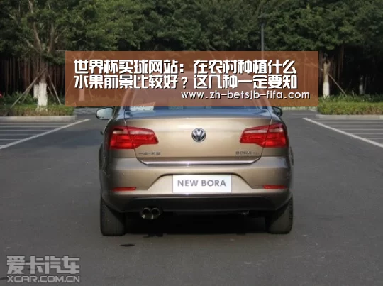 世界杯买球网站:在农村种植什么水果前景比较好?这几种一定要知道!(图2) 世界杯外围买球