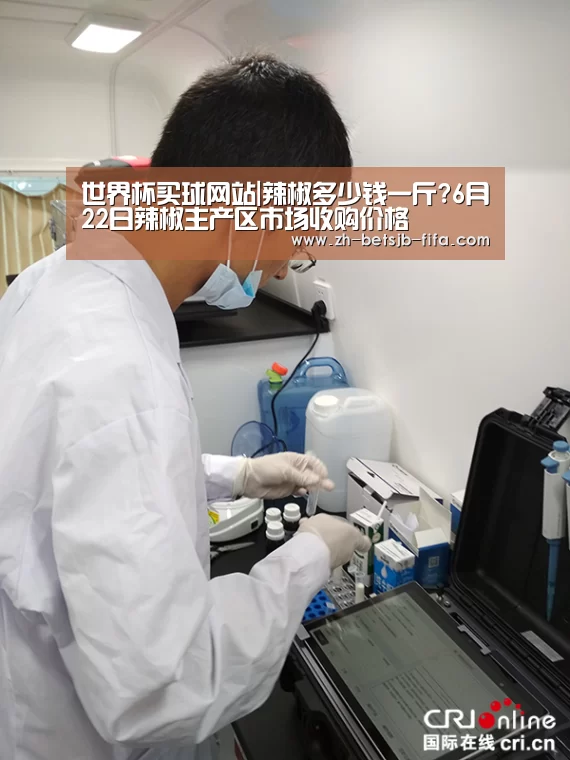 世界杯买球网站|辣椒多少钱一斤?6月22日辣椒主产区市场收购价格(图2) 世界杯投注